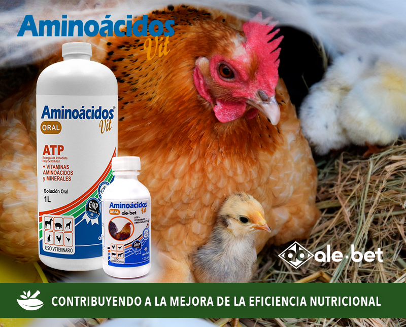 Free HTML5 Template by FreeHTML5.co