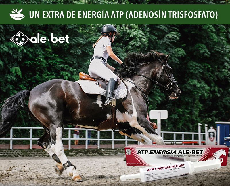 Free HTML5 Template by FreeHTML5.co