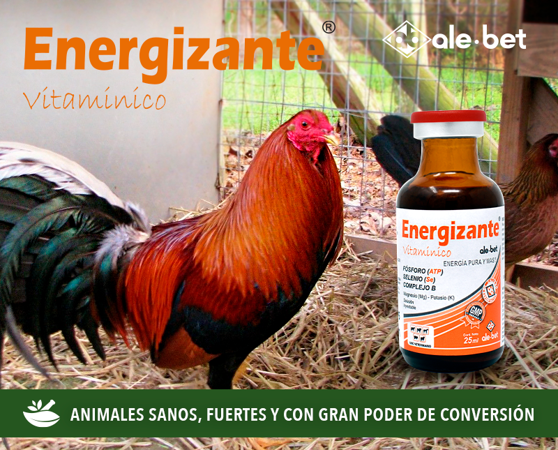 Free HTML5 Template by FreeHTML5.co