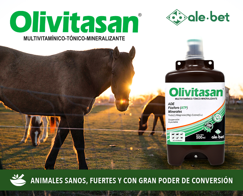 Free HTML5 Template by FreeHTML5.co